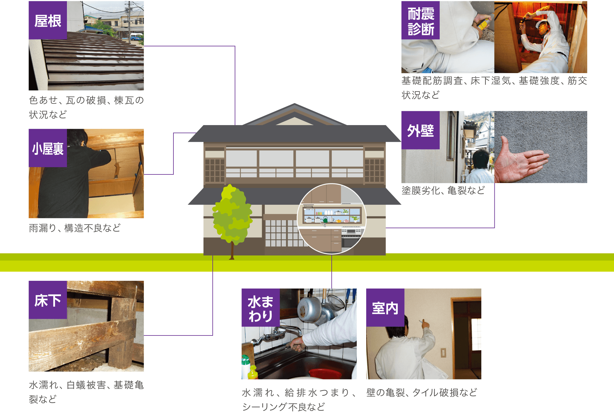 診断内容